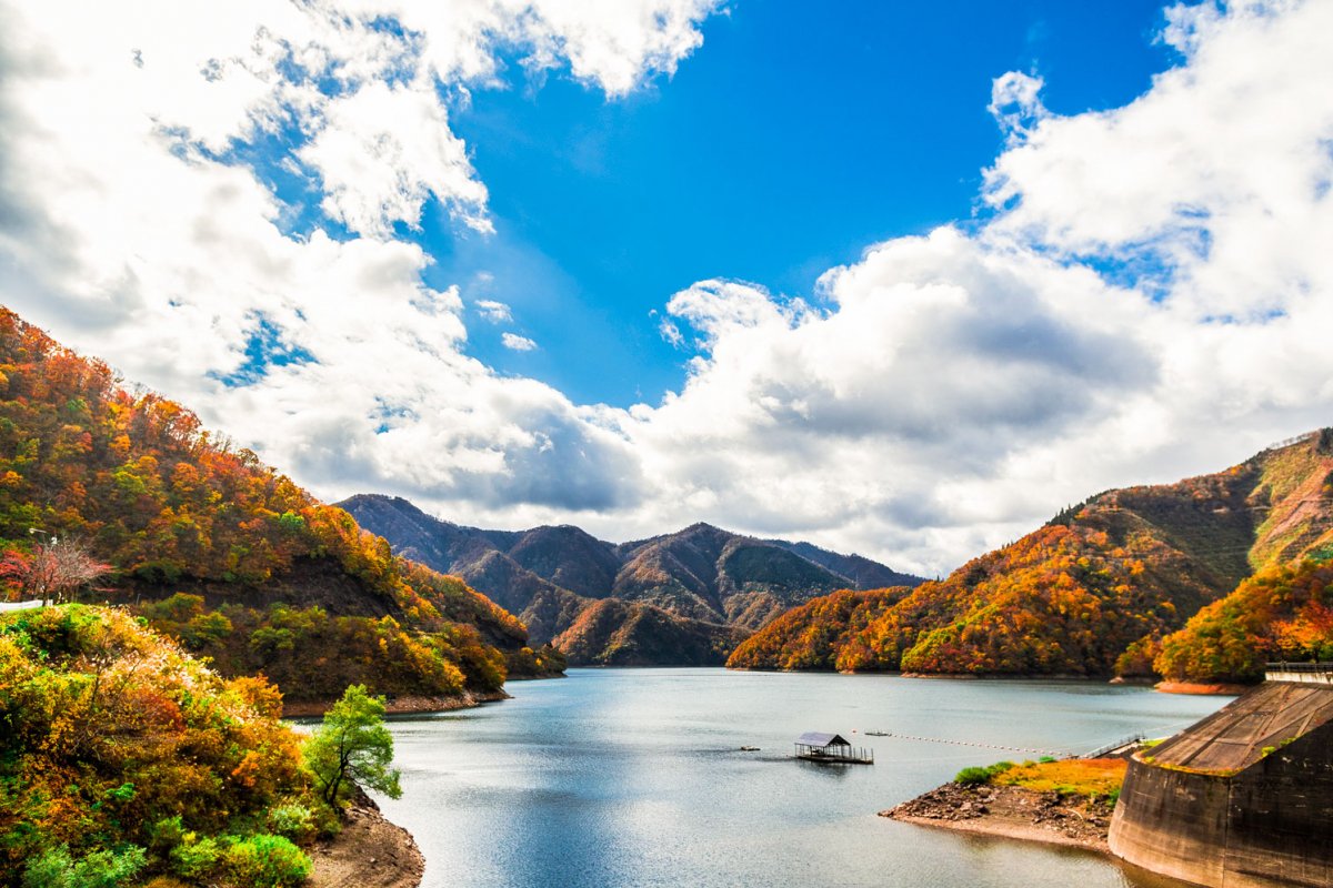 🌳 과학 만국 박람회 기념 공원(카가쿠 반파쿠 키넨 코엔) 이미지 7